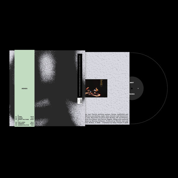 AEAEA (Nicolás Jaar & Patrick Higgins) / Mist