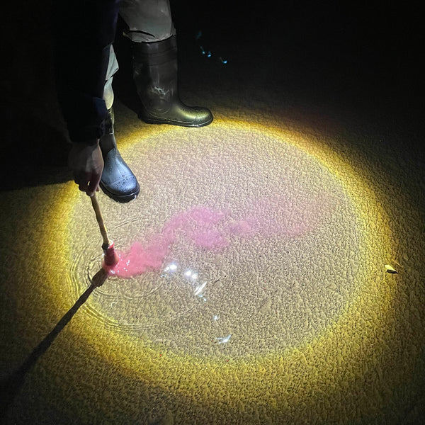 Diles Que No Me Maten / Escrito en Agua - vista secundaria