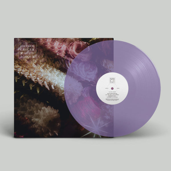 Fin del Mundo / Hicimos Crecer un Bosque