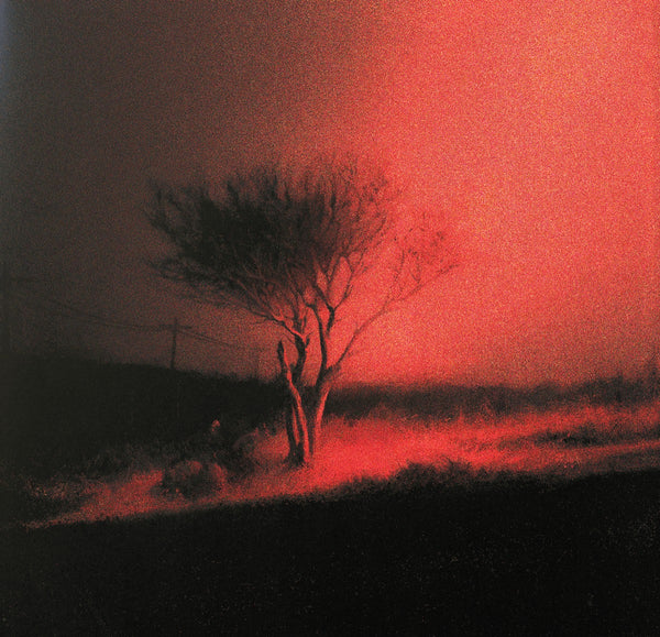 Joji / Piss In The Wind - vista secundaria