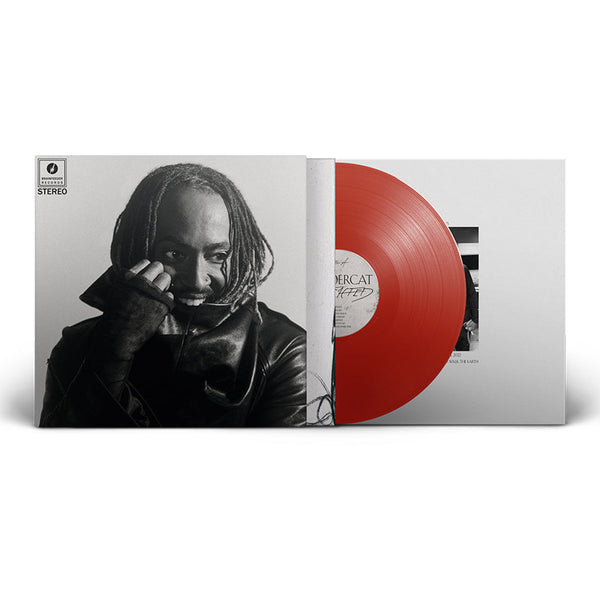 Thundercat / Distracted