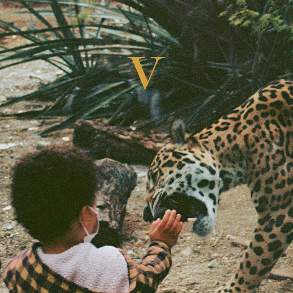 Unknown Mortal Orchestra / V (DDM) - vista secundaria