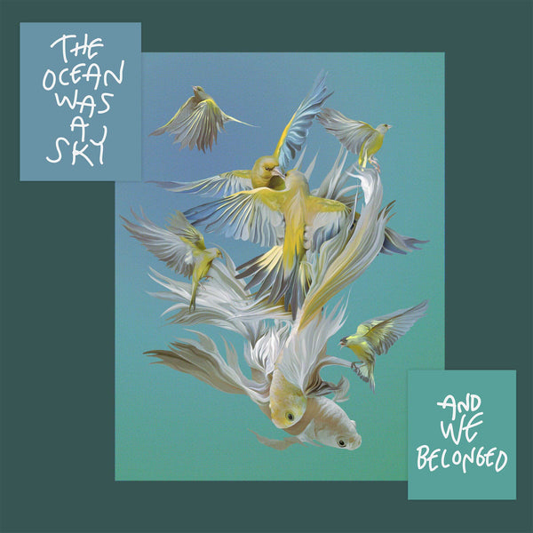 The Ocean Was A Sky And We Belonged x Ricardo Luévanos