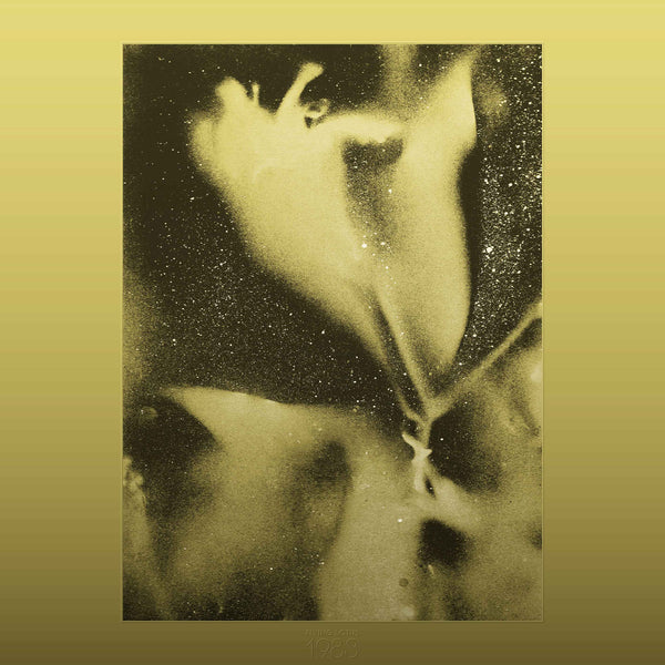 Flying Lotus / 1983 (20th Anniversary) - vista secundaria